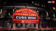 Chicago Cubs Baseball GIF