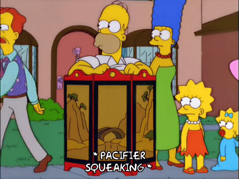 homer simpson GIF