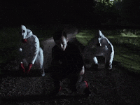 Lane Boy GIF by twenty one pilots