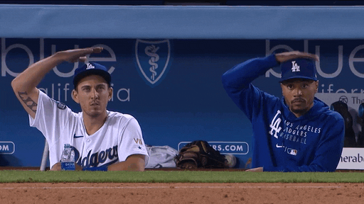 Los Angeles Sport GIF by MLB