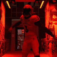 University Of Louisville Football GIF by Louisville Cardinals