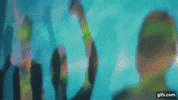Dance Party GIF by Camport