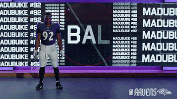Football Celebrate GIF by Baltimore Ravens