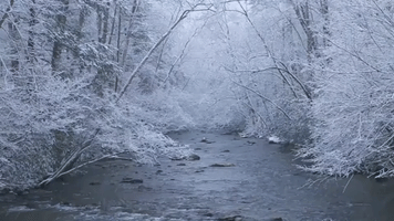 Frosted Trees Frame Tennessee River Amid Great Smoky Mountains Snowfall