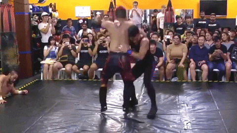 ladykiller giphygifmaker rock bottom rockbottom ladykiller GIF