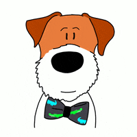 Bow Tie Dog GIF