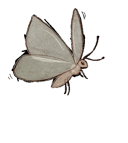 HannahGraceSmithArt giphyupload pink fly butterfly Sticker
