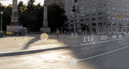 GIF by Partisan Records