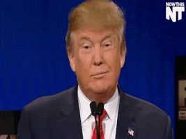 politics GIF