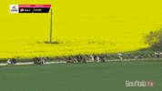 Grand Tour Win GIF by girodiitalia
