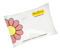 Entrega Pacote Sticker by ficalinda