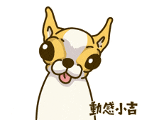 Animation Dog GIF