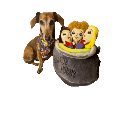 Hocus Pocus Cauldron Sticker by Geekster Pets