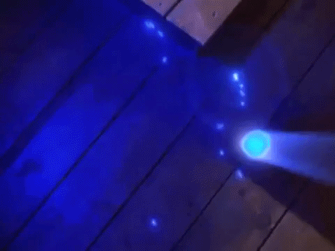 journey of allen strange nicksplat GIF
