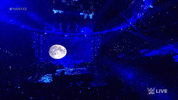 Wwe Wrestling GIF by USA Network