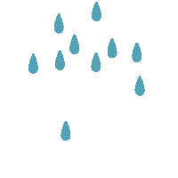 Rainbow Colors Sticker