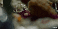New Zealand Missy GIF by ARRAY