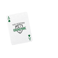 Ace Indy Sticker by The Academy Volleyball Club
