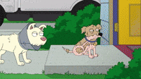 Dogs | Season 20 Ep. 3 | FAMILY GUY