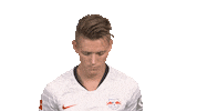 Happy Red Bulls Sticker by Bundesliga