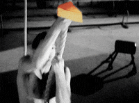 marlon brando troll GIF by Maudit