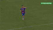 Serie A Laion GIF by Canal Premiere