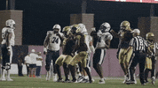 College Football Sport GIF by Texas State Football