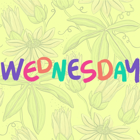 Text gif. Against a light yellow background with a green floral design, the text "Wednesday" dances in a clean, painted typography, the letters flashing back and forth between bright colors.