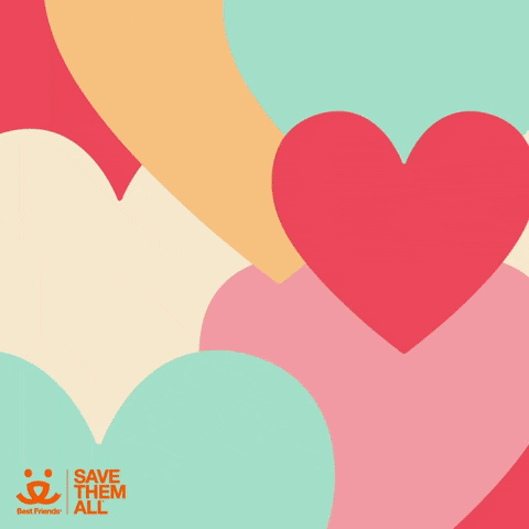 Valentines Day Love GIF by Best Friends Animal Society