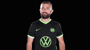 Admir Mehmedi Reaction GIF by VfL Wolfsburg