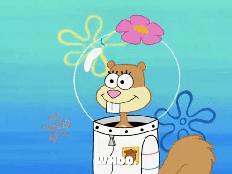 season 6 episode 22 GIF by SpongeBob SquarePants