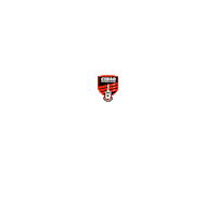 soccer futbol Sticker