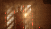 Utah Utes Softball GIF by NCAA Championships