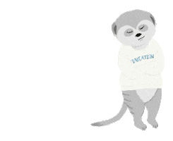 V Jin Sticker