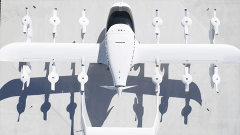 kitty hawk cora GIF