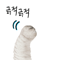 amorepacific_illiyoon scratchy illiyoon 일리윤 n리윤 Sticker