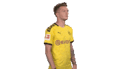 Proud Line Up Sticker by Bundesliga