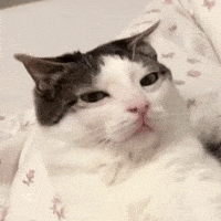 Tired Sleep GIF