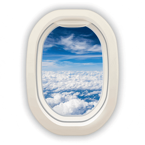 seleccionsky giphyupload skyairline sky airline GIF