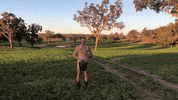 Holymatrimonty hoedown holymatrimonty GIF