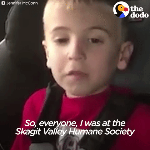 GIF by The Dodo