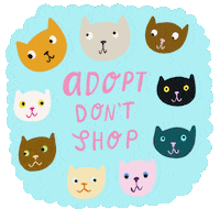 Cat Rescue Adopt Dont Shop Sticker by Able And Game
