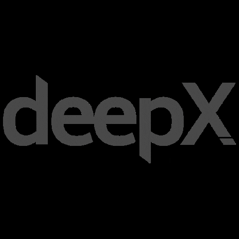 DeepX x deepx deepxit GIF