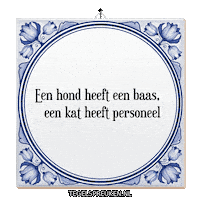 Kat Nl Sticker by Tegelspreuken.nl