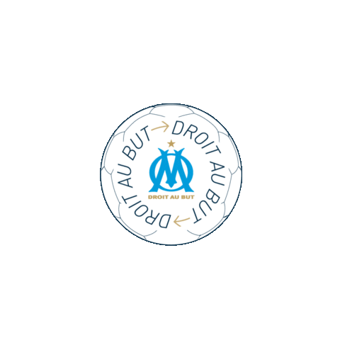 Ligue 1 Football Sticker by Olympique de Marseille