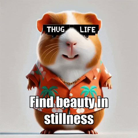 GIF by Guinea Gambino