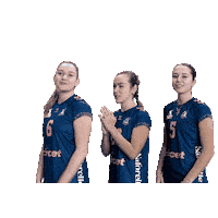 Volleyball Pate Sticker by Neptunes_VolleyBall