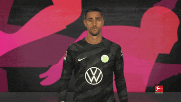 Vfl Wolfsburg No GIF by Bundesliga