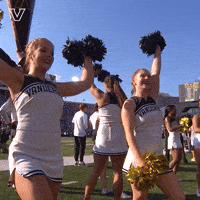 Sport Celebrate GIF by Vanderbilt Athletics