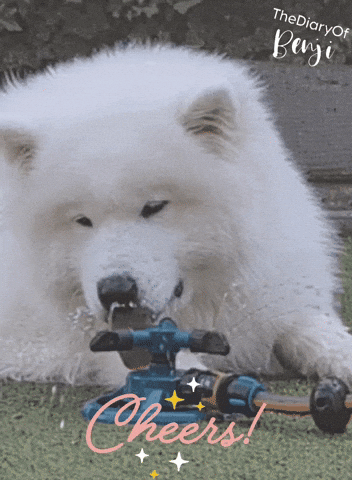 Cheers Drinks GIF